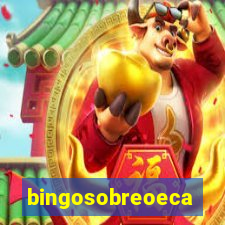 bingosobreoeca