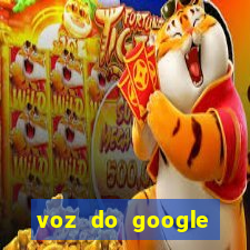 voz do google tradutor homem