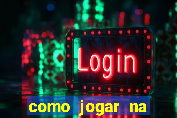 como jogar na lotinha do jogo do bicho