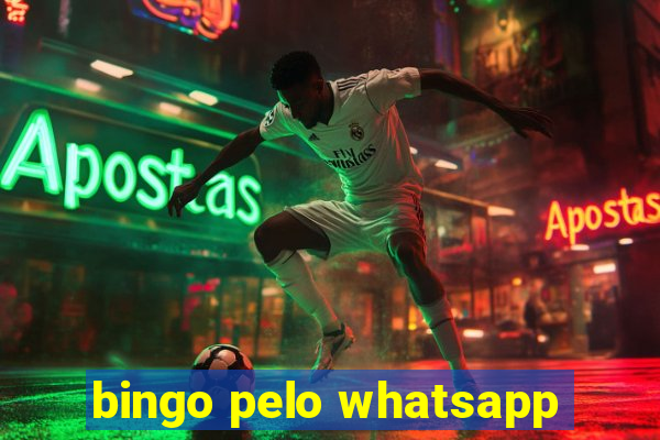 bingo pelo whatsapp