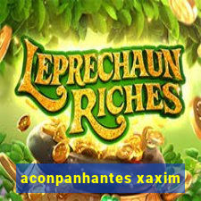 aconpanhantes xaxim